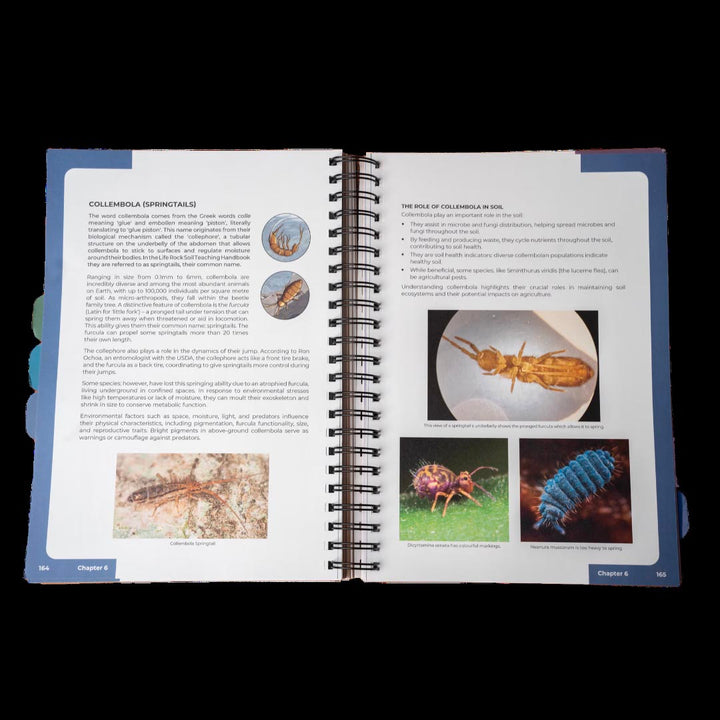 Life Rocks Soil Teaching Handbook Example Pages