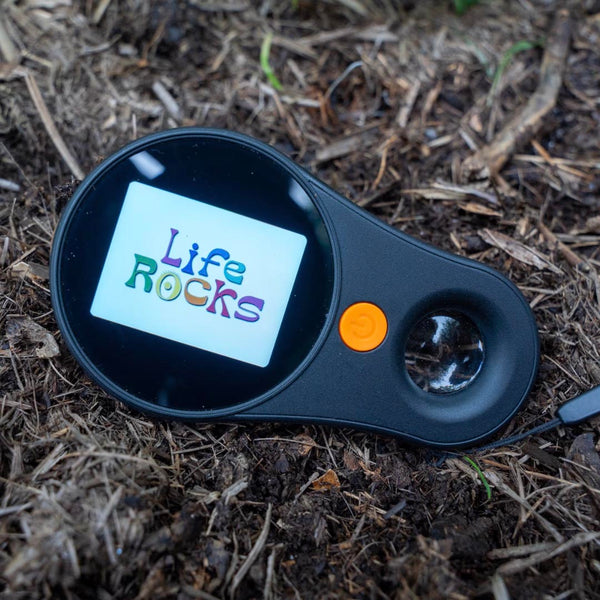 Life Rocks Handheld Digital Microscope Hero Image