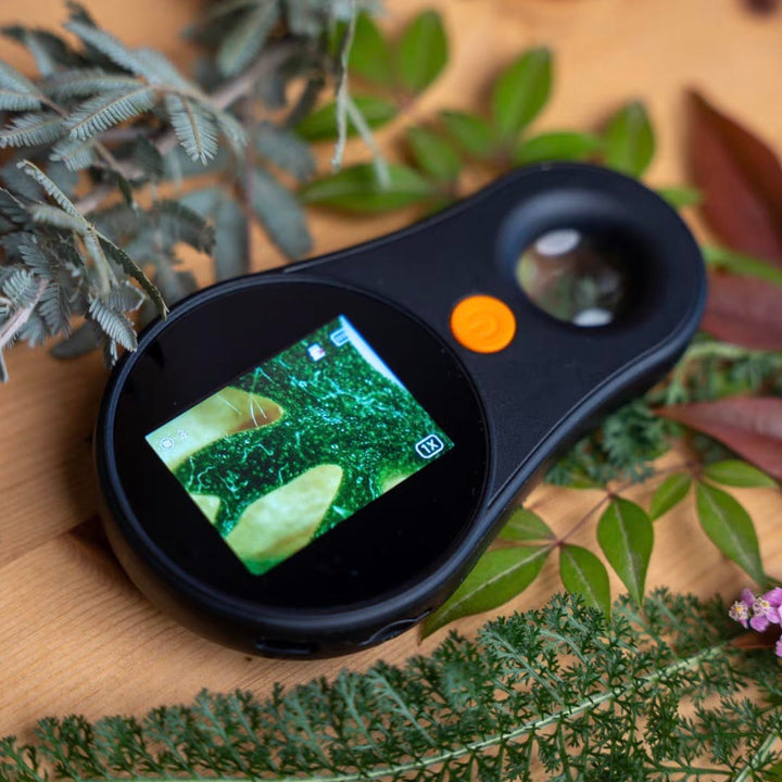 Life Rocks Handheld Digital Microscope Use Example 2