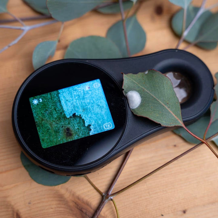 Life Rocks Handheld Digital Microscope Use Example 3