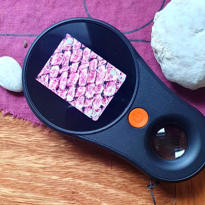 Life Rocks Handheld Digital Microscope Use Example 4