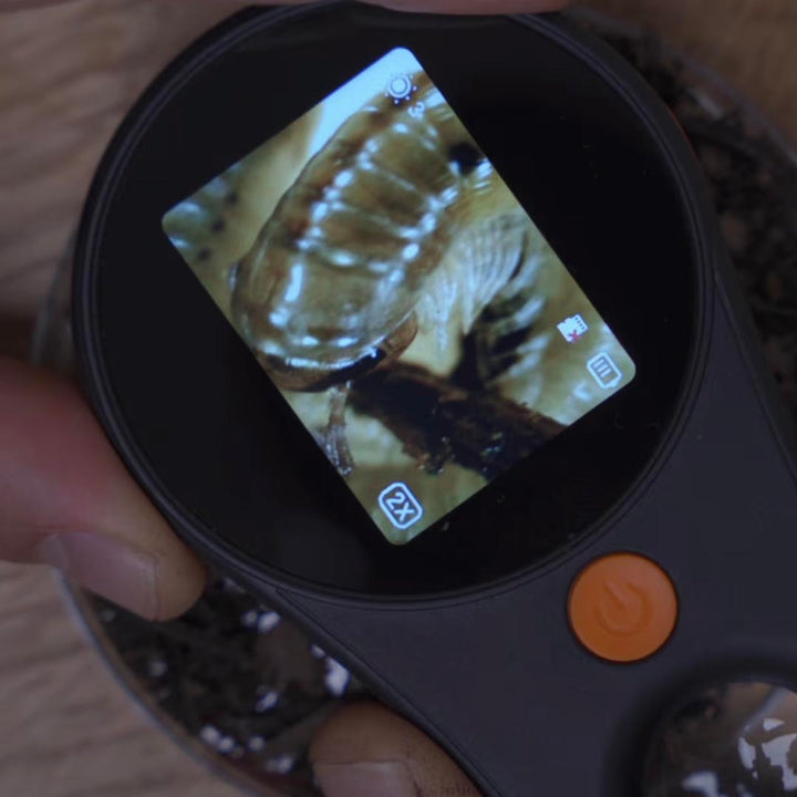 Life Rocks Handheld Digital Microscope Use Example