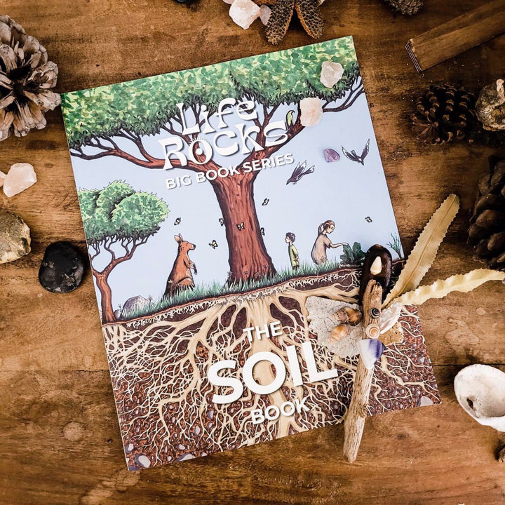 Life Rocks Soil Book on a Desk