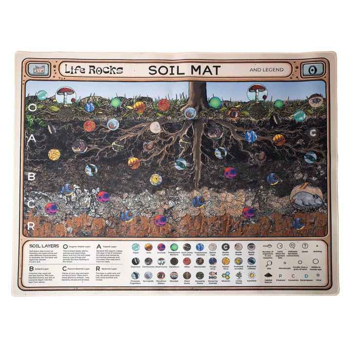 Life Rocks Soil Discovery Mat
