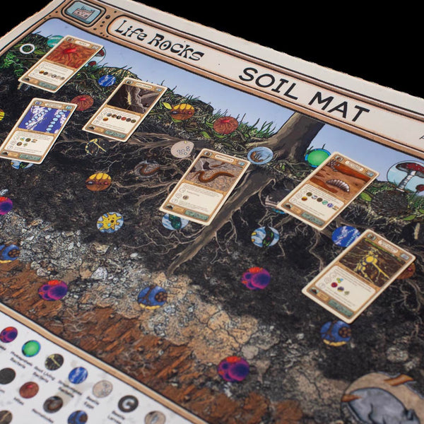 Life Rocks Soil Discovery Mat & Creature Cards